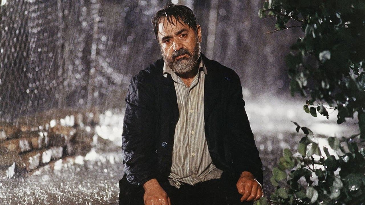 بید مجنونの背景画像