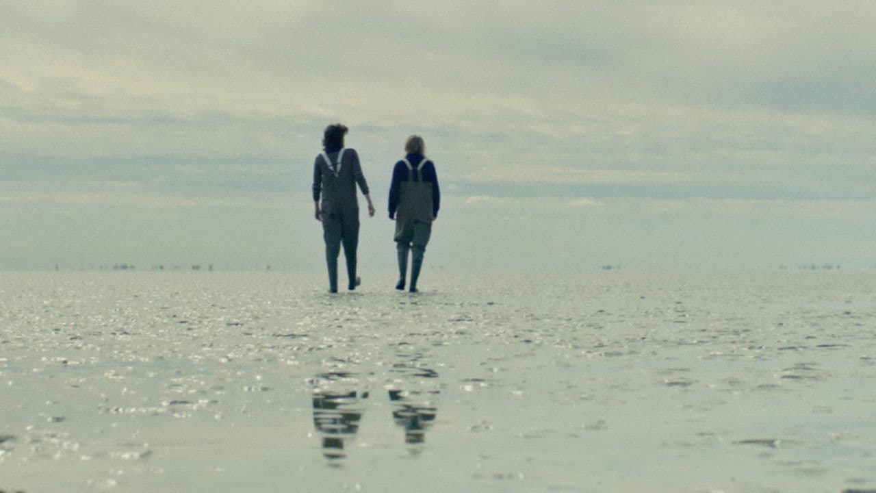 Wildflowersの背景画像