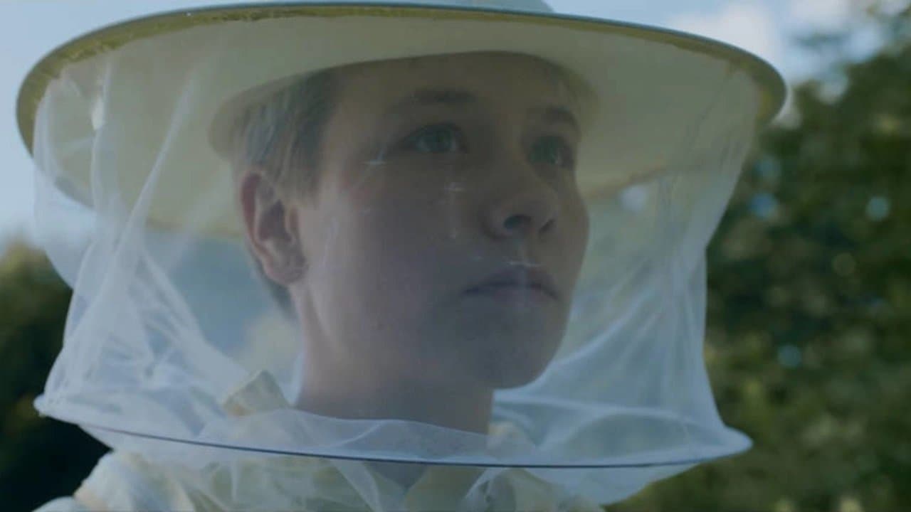 Schwarmtiereの背景画像