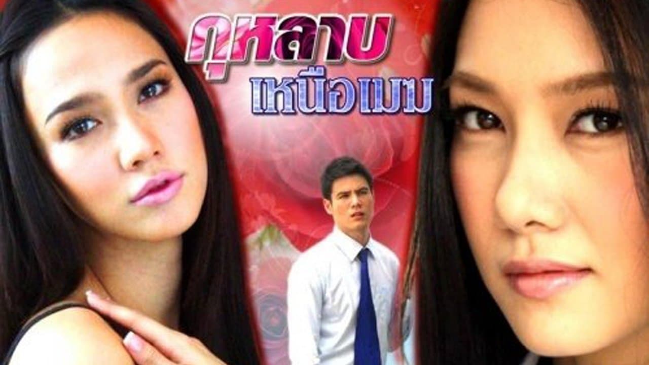 กุหลาบเหนือเมฆの背景画像