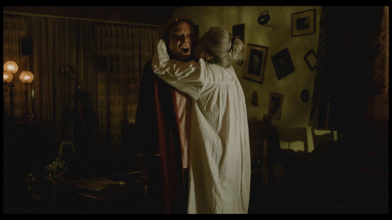 Fratelli come primaの背景画像