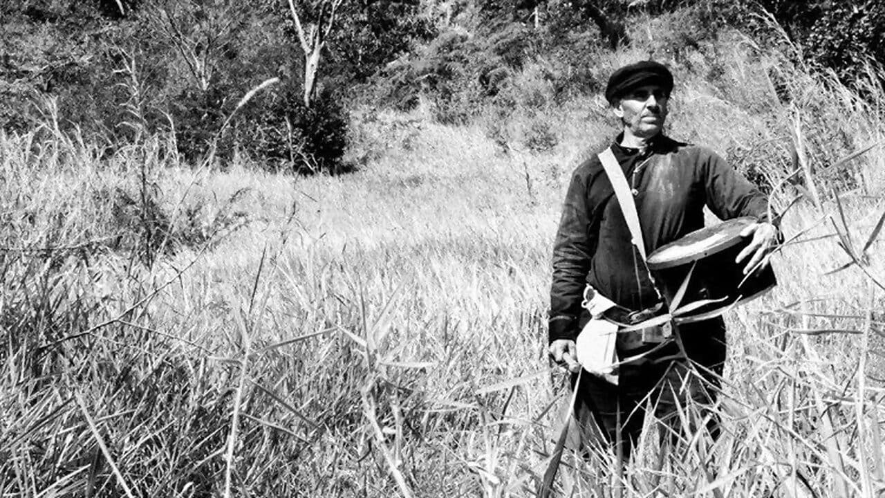 Guerra do Paraguayの背景画像