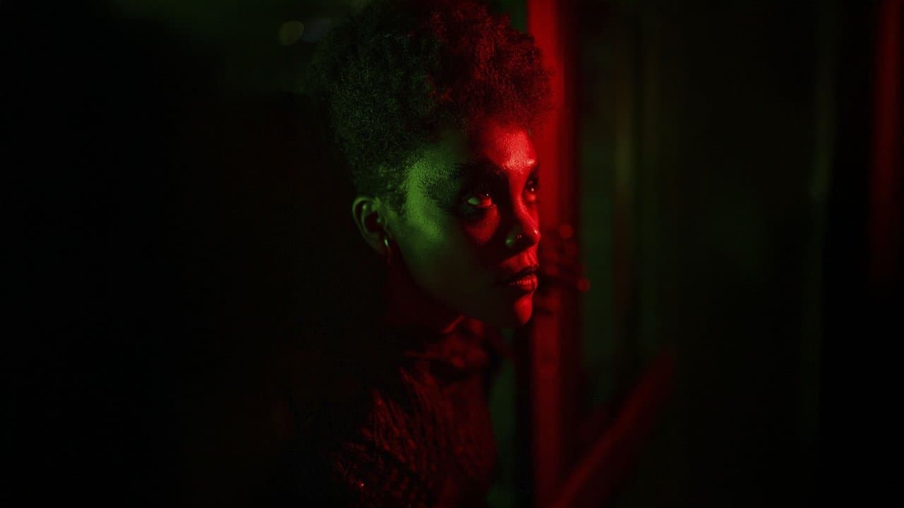 Aruanaの背景画像