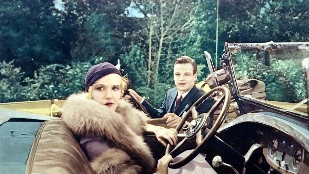 The Midnight Ladyの背景画像