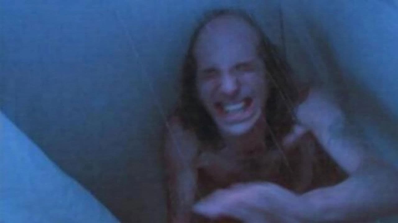 The Off Seasonの背景画像