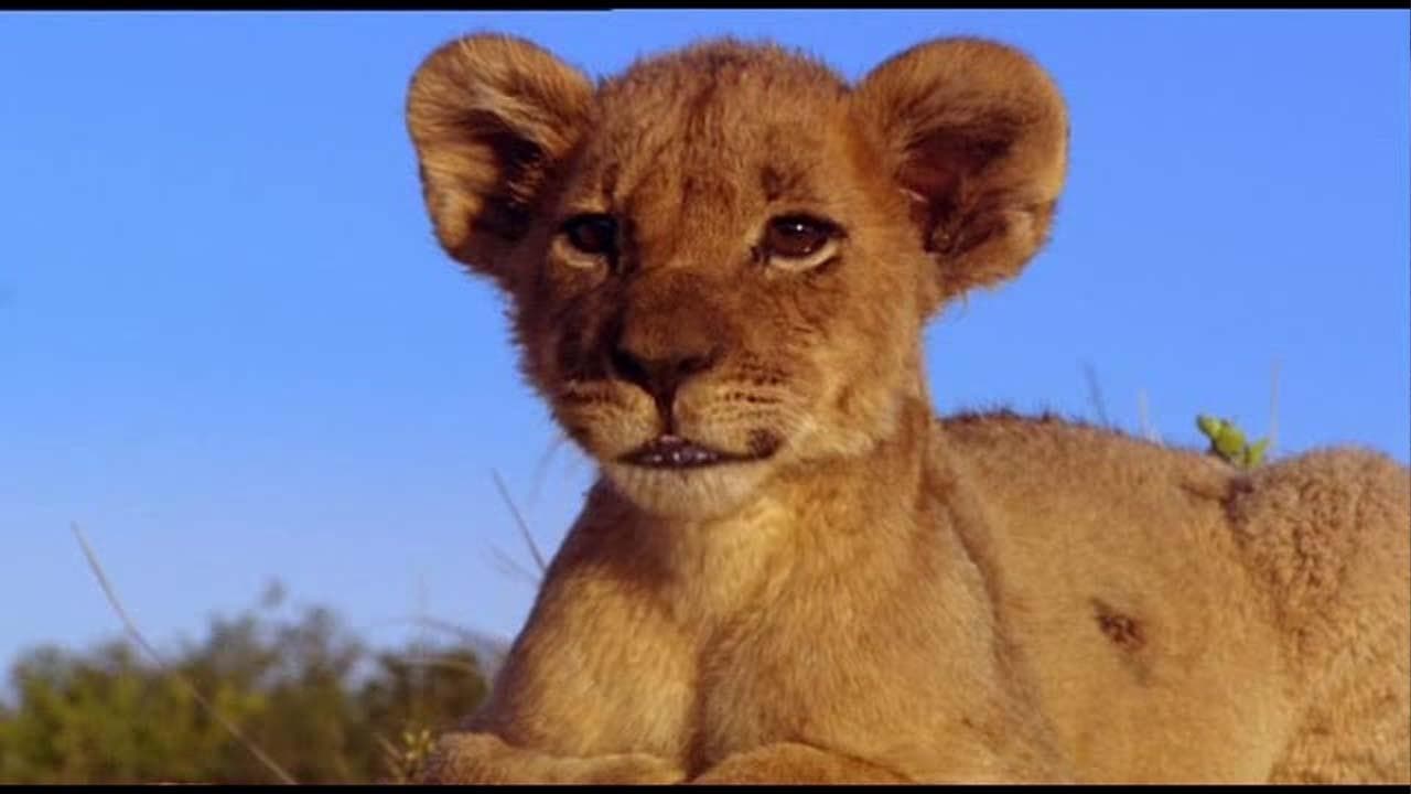 Prideの背景画像