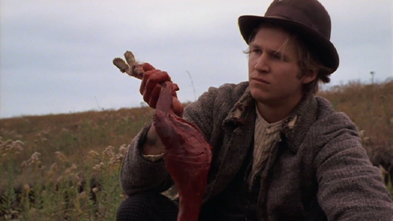 夕陽の群盗の背景画像