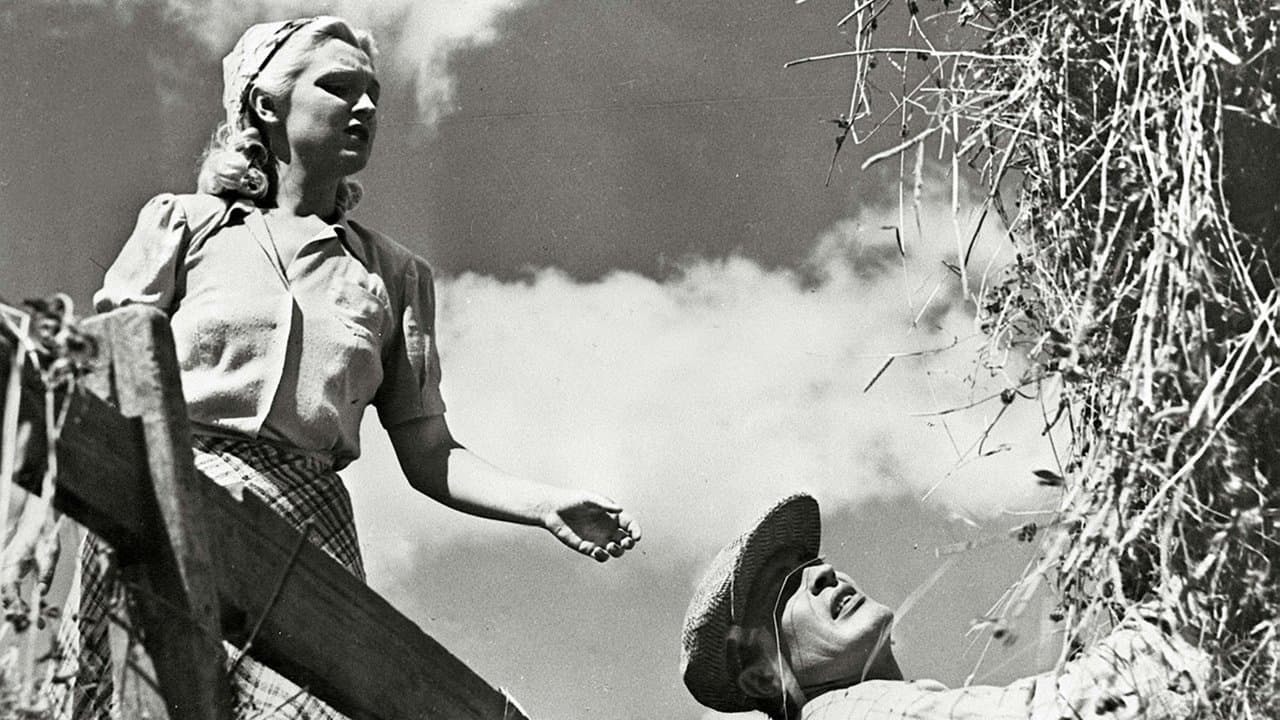 Oi, kallis Suomenmaaの背景画像