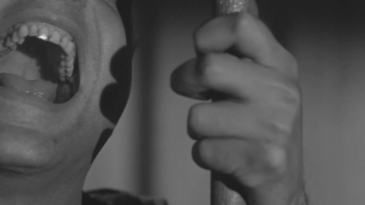 La primera mirada: historia de una escuela de cineの背景画像
