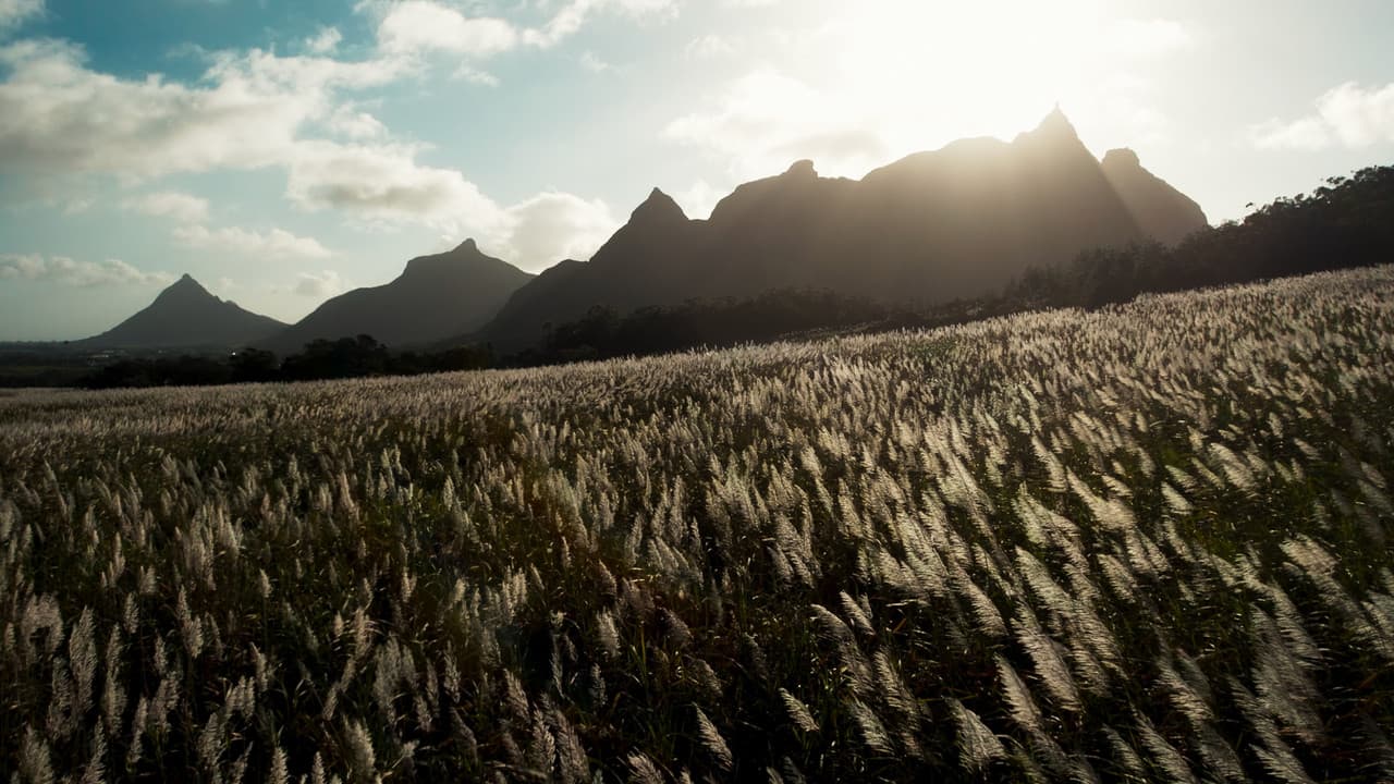 L’Offrande d’une vieの背景画像