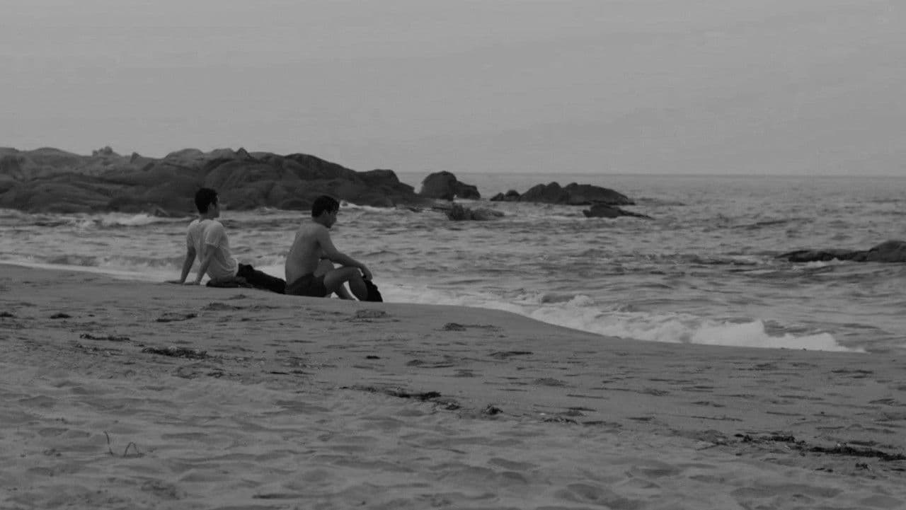 검은 여름の背景画像