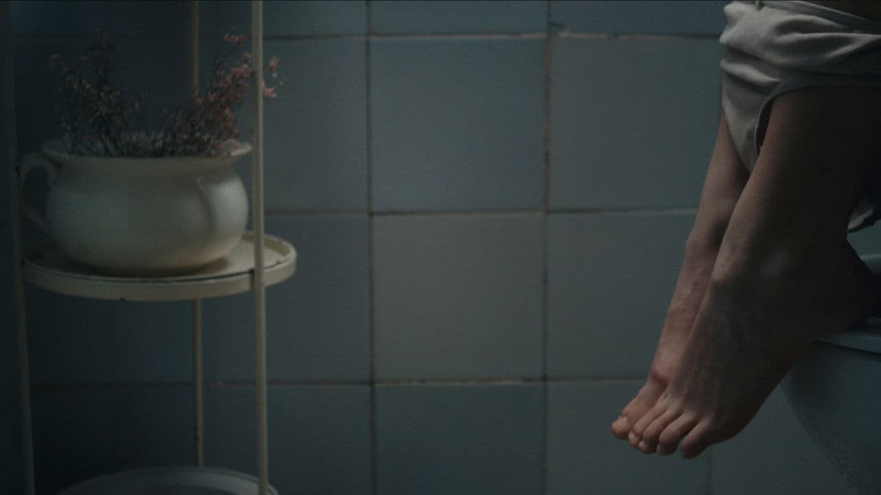 Amapolaの背景画像