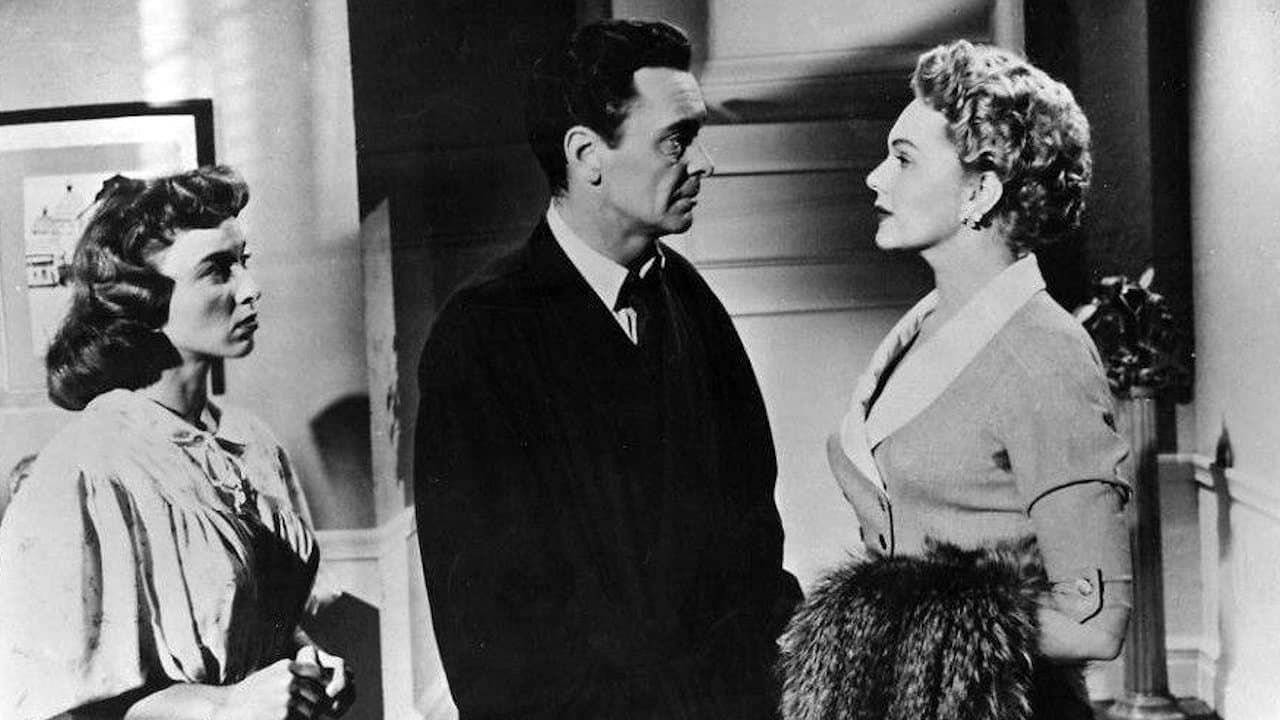 The Miami Storyの背景画像