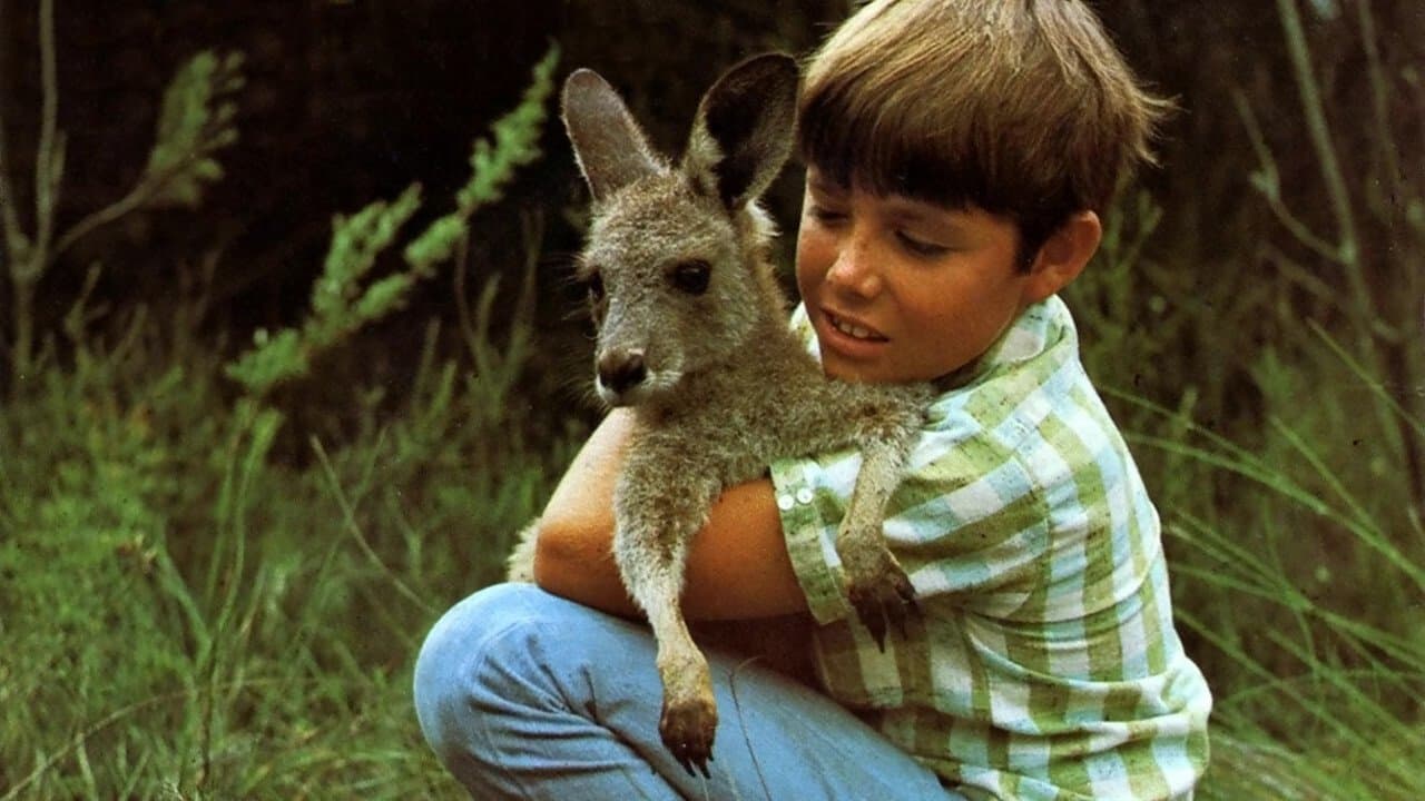 Skippy the Bush Kangarooの背景画像