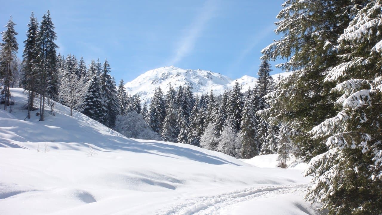 Weißblaue Wintergeschichtenの背景画像