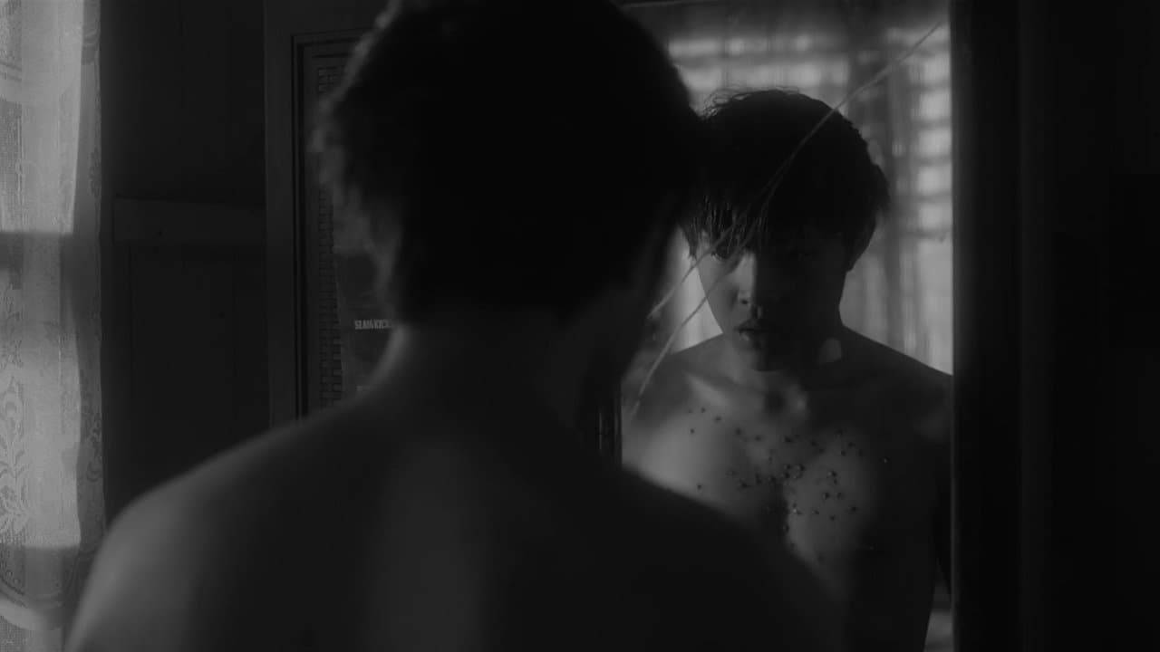 Kalel, 15の背景画像