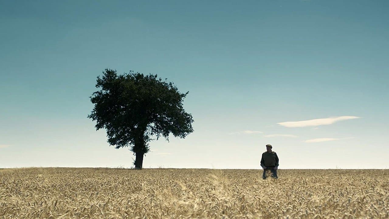 Okna, oknaの背景画像