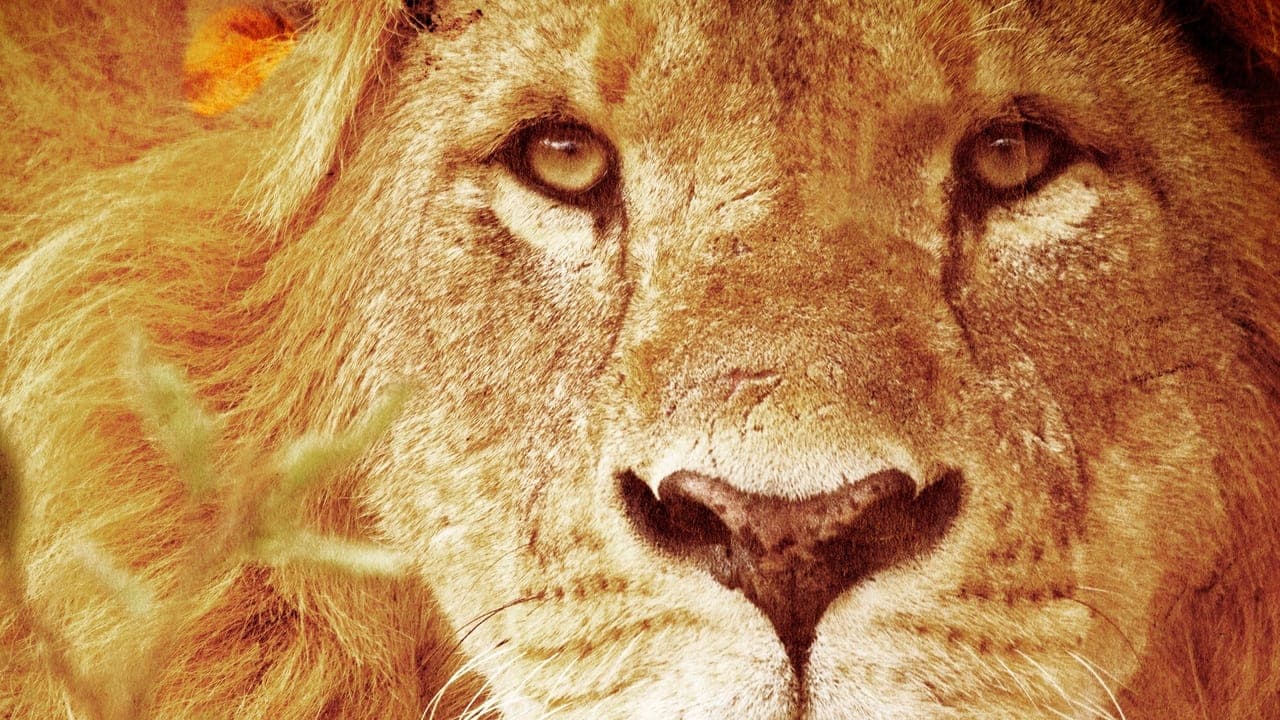 Predators Up Close with Joel Lambertの背景画像