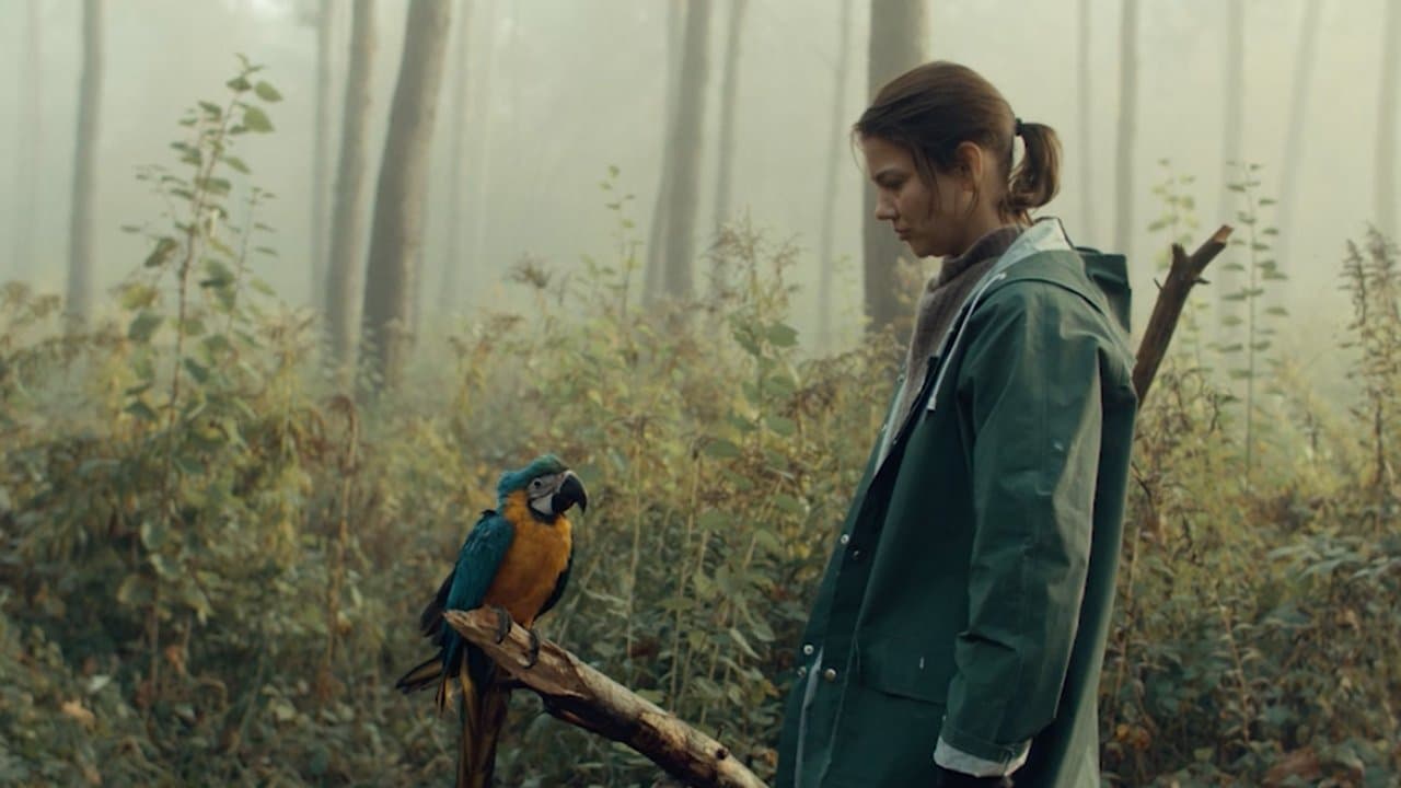 Kommt ein Vogel geflogenの背景画像