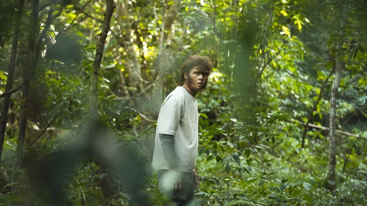 Rungayの背景画像