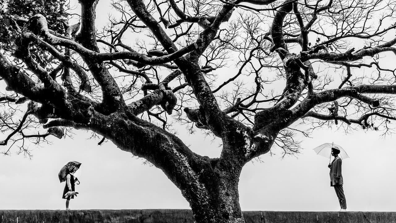 謎絲の背景画像