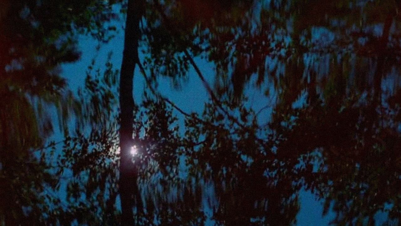 Väreitäの背景画像