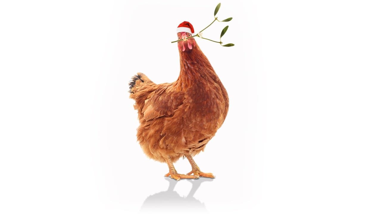 Feather Christmasの背景画像