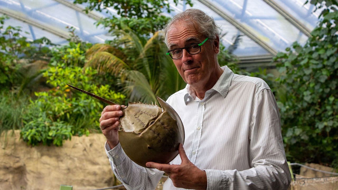 Govert naar de oorsprong van de mensの背景画像