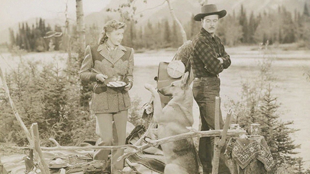 Northwest Stampedeの背景画像