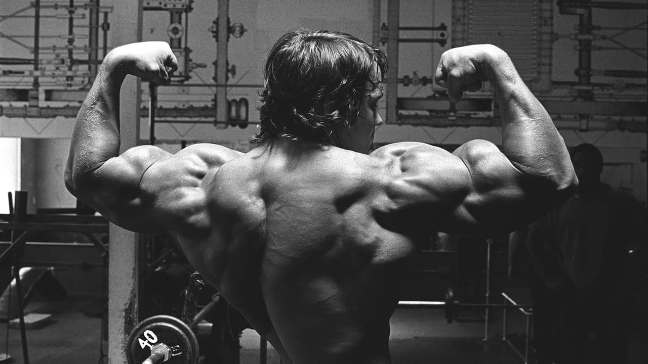 アーノルド・シュワルツェネッガーの鋼鉄の男の背景画像