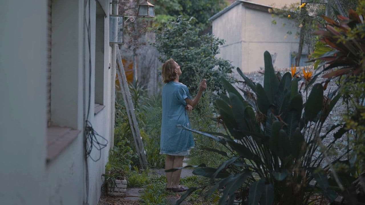 En el limbo de los olvidados siempre es veranoの背景画像