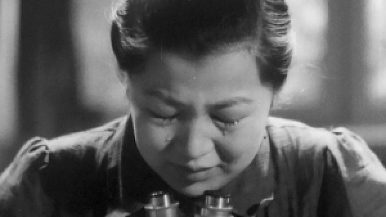 一番美しくの背景画像
