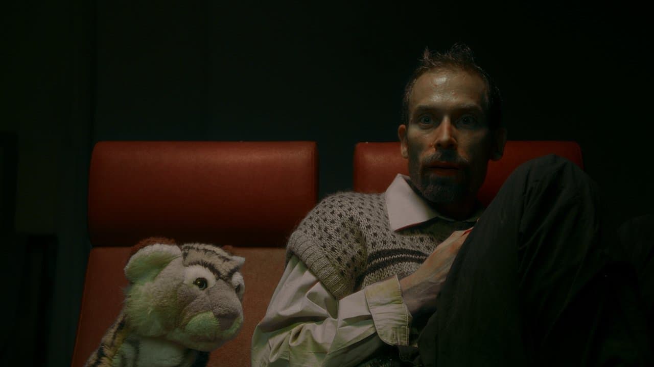 Vierkante Ogenの背景画像