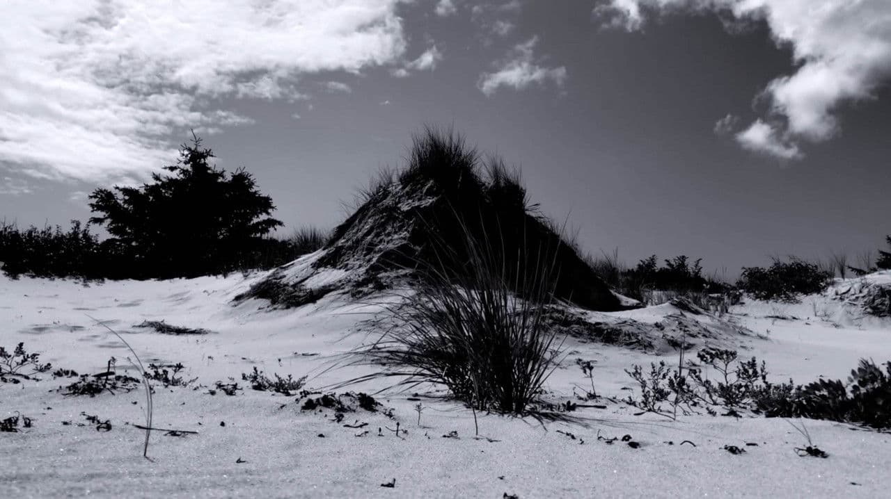 The Mouthの背景画像