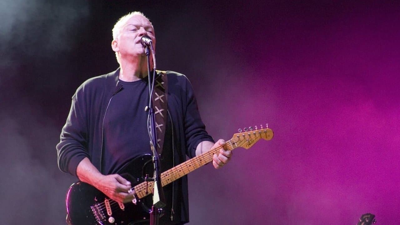 David Gilmour: In Concertの背景画像