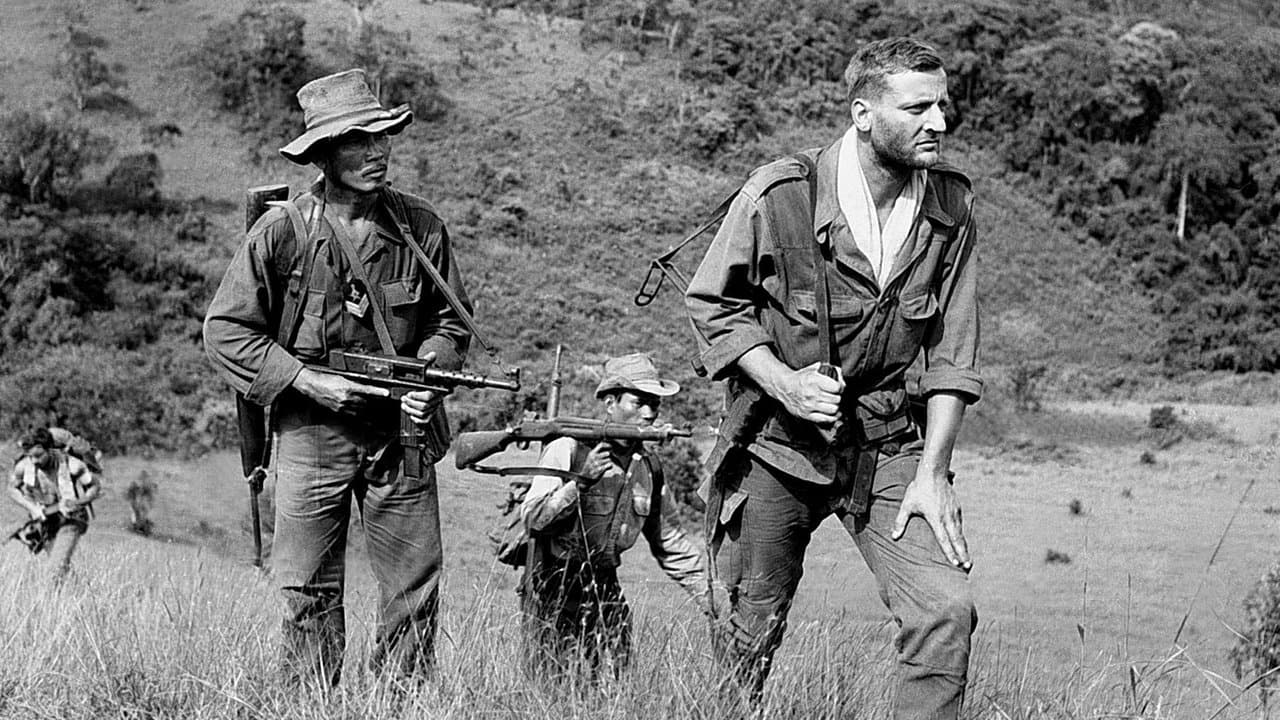 La 317ème Sectionの背景画像