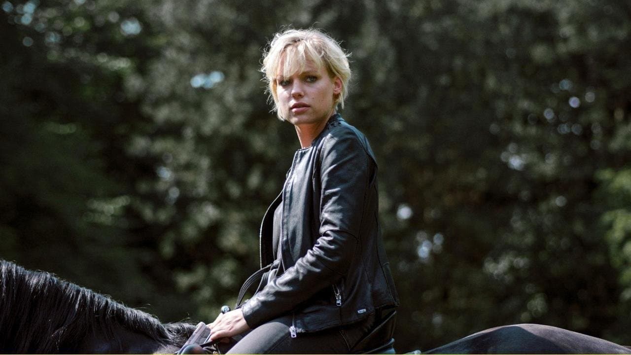 Trakehnerblutの背景画像