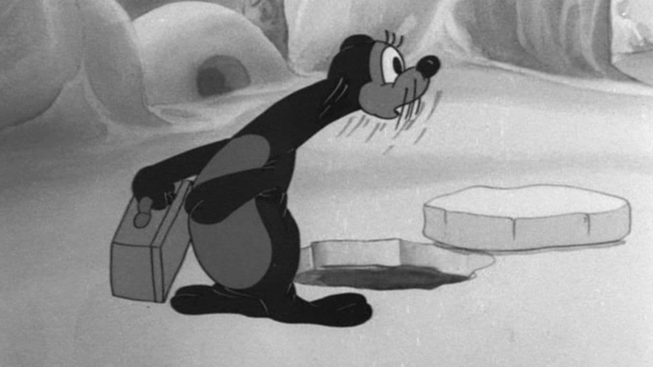 Seal Skinnersの背景画像