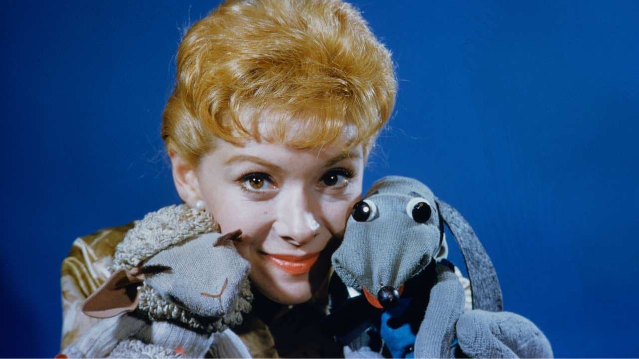 Shari & Lamb Chopの背景画像