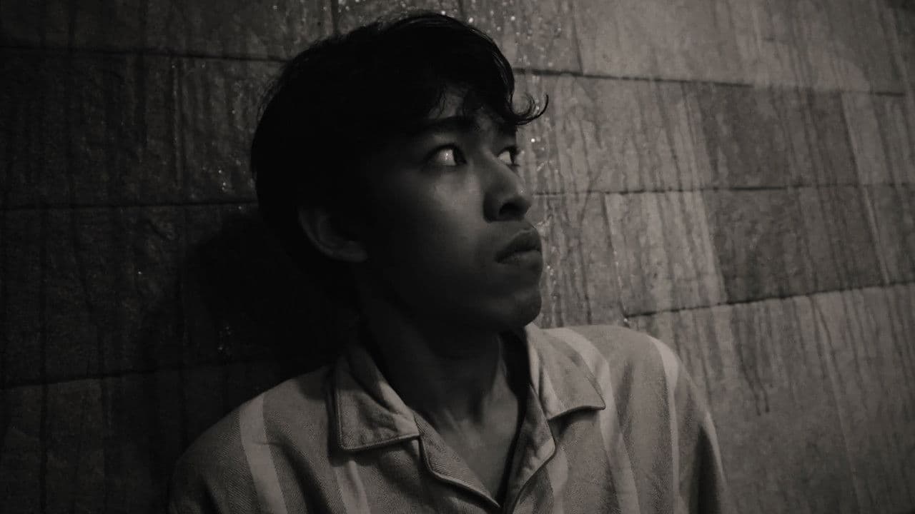 Don't Watch This, After Midnight.の背景画像