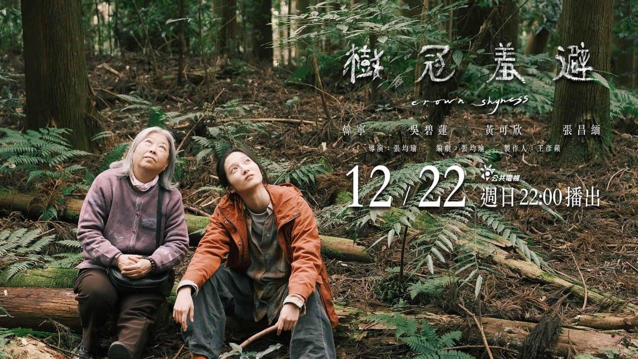 木々の隙間の背景画像