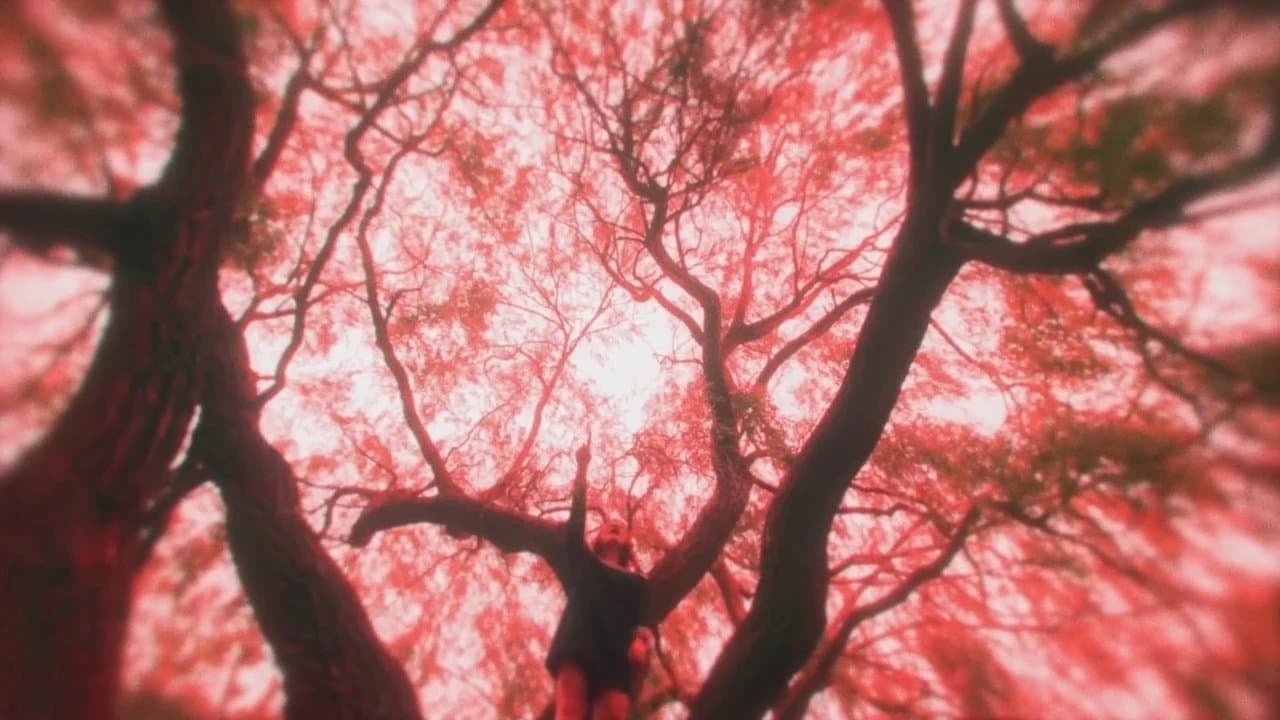A Little More Fleshの背景画像