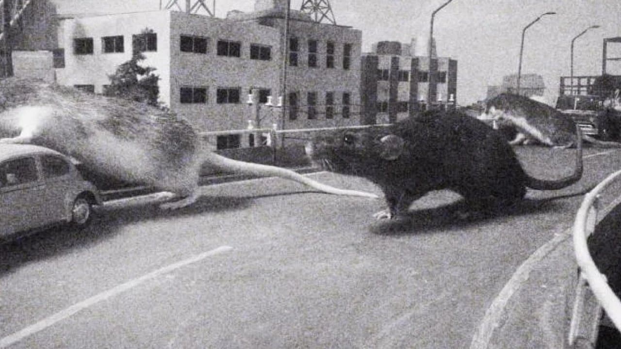 ネズラ1964の背景画像