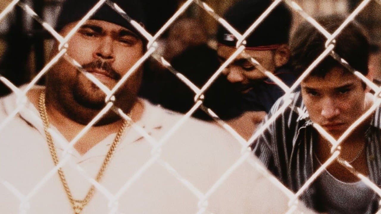 Boricua's Bondの背景画像