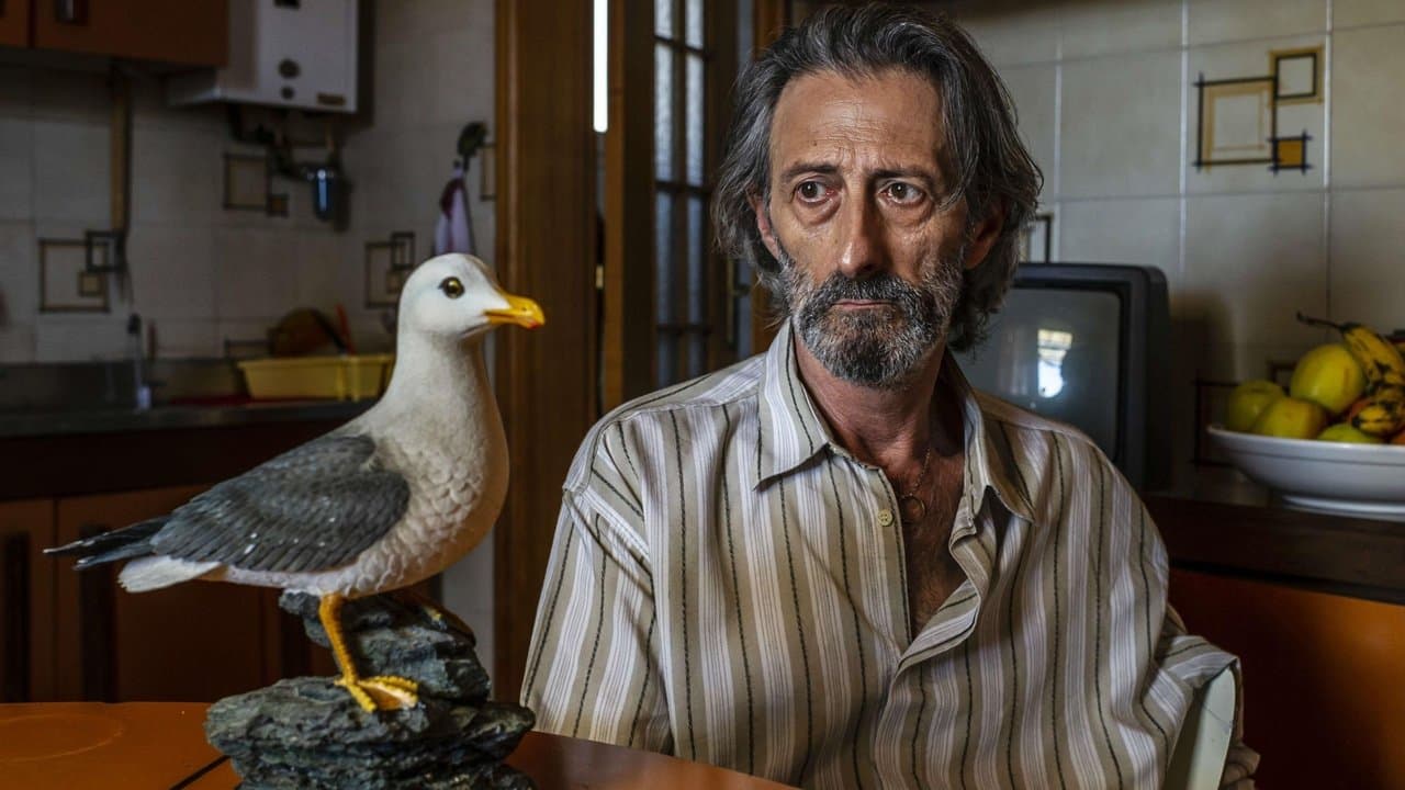 Il ladro di cardelliniの背景画像