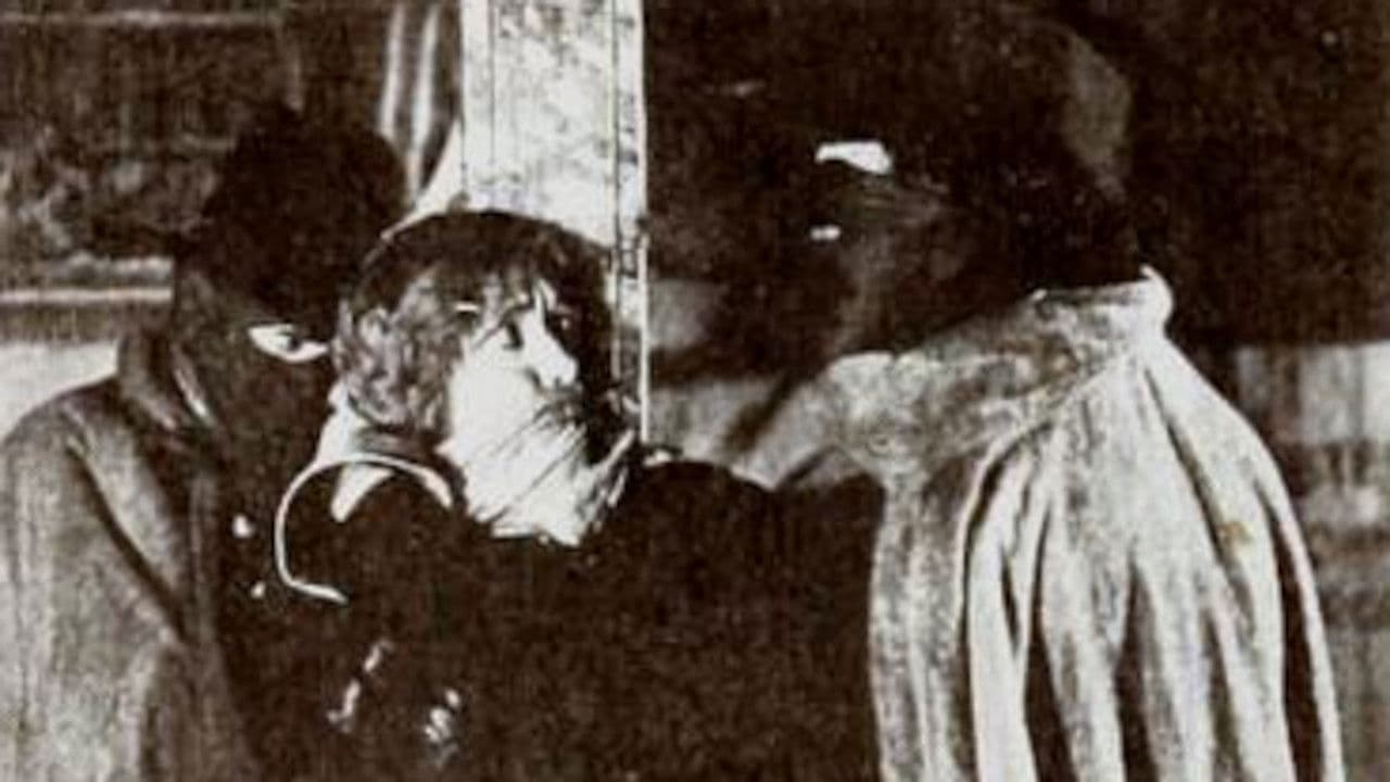 Madam Whoの背景画像