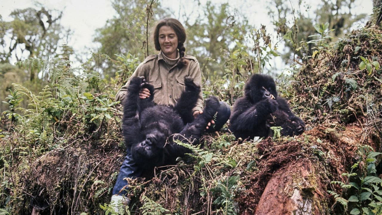 Dian Fossey: Ihr Leben für die Gorillasの背景画像