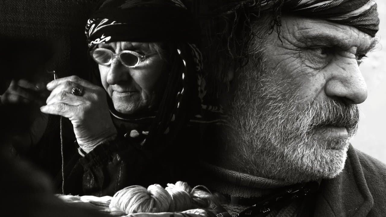 دوایین زستانの背景画像