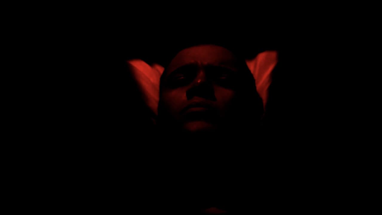 Incubadorの背景画像