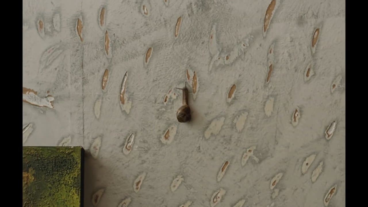 The Mark On The Wallの背景画像